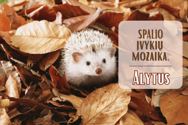 Spalio mozaika: datos, įvykiai, faktai